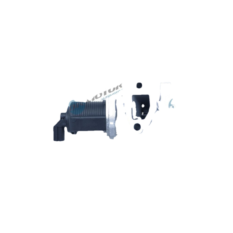 DR.MOTOR AUTOMOTIVE AGR - Ventil DRM151111