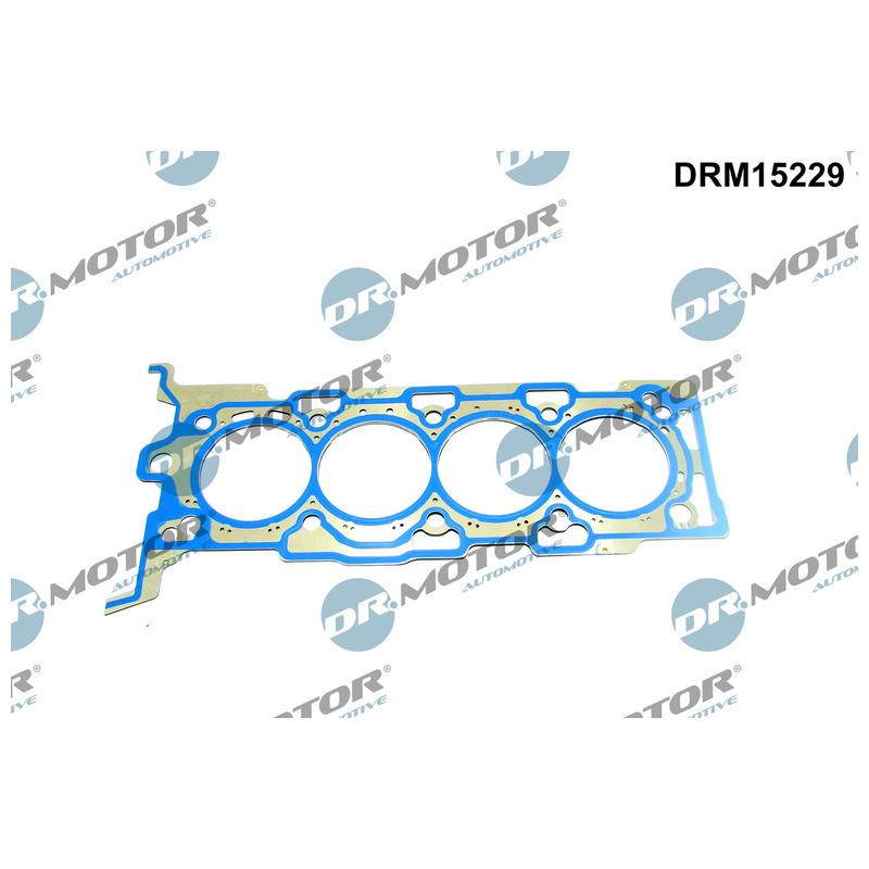 DR.MOTOR AUTOMOTIVE Tesnenie hlavy valcov DRM15229