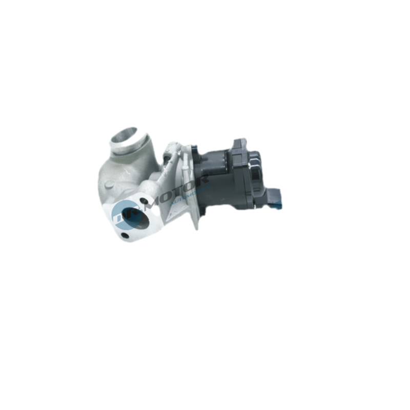 DR.MOTOR AUTOMOTIVE AGR - Ventil DRM161101