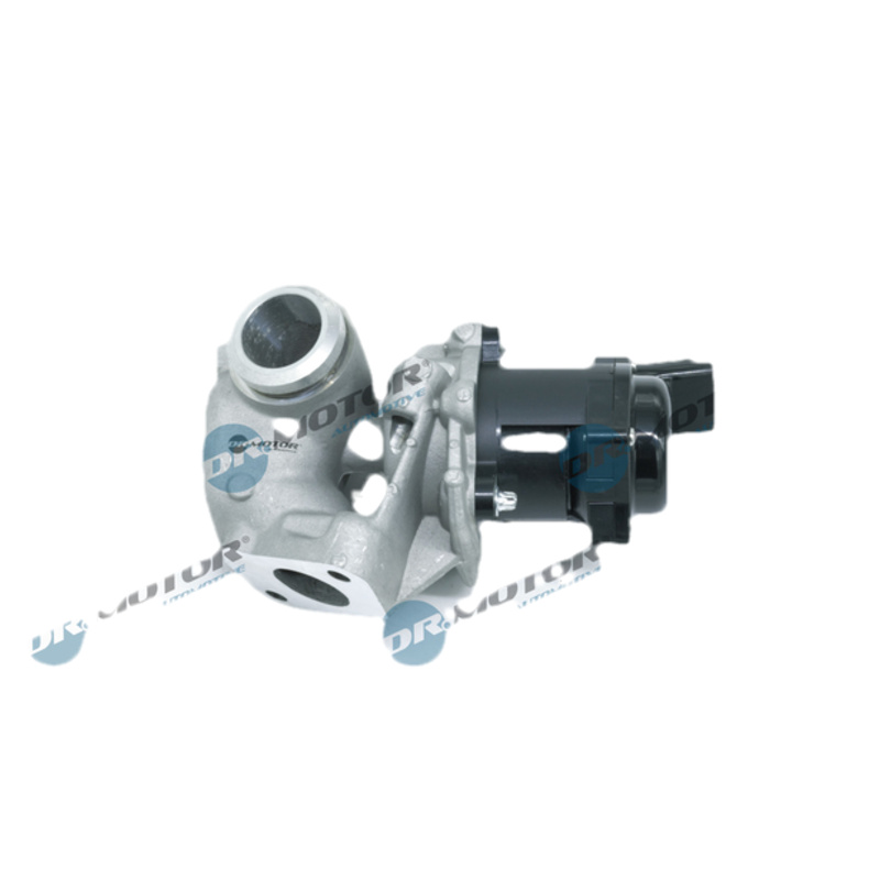 DR.MOTOR AUTOMOTIVE AGR - Ventil DRM161104