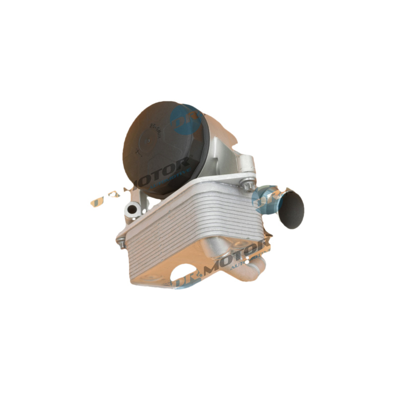 DR.MOTOR AUTOMOTIVE Obal olejového filtra DRM21010S
