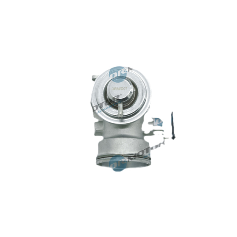 DR.MOTOR AUTOMOTIVE AGR - Ventil DRM211103