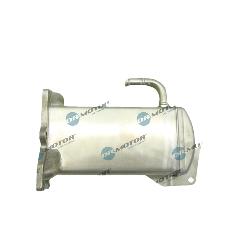 DR.MOTOR AUTOMOTIVE Chladič pre recirkuláciu plynov DRM211123C