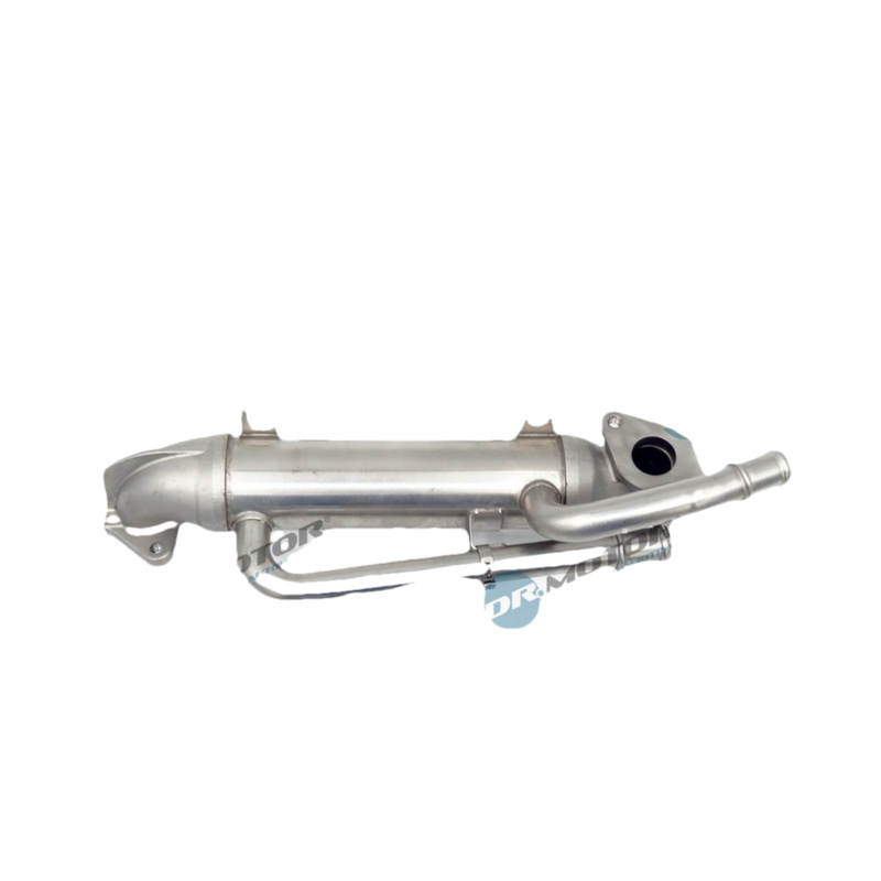 DR.MOTOR AUTOMOTIVE Chladič pre recirkuláciu plynov DRM211155C