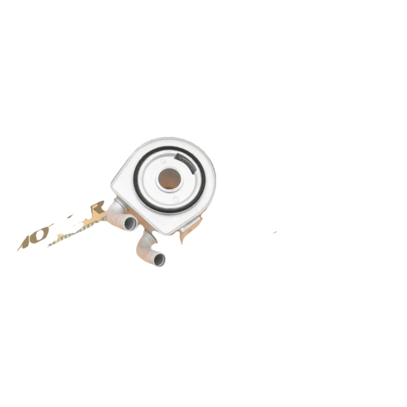 DR.MOTOR AUTOMOTIVE Chladič motorového oleja DRM61003