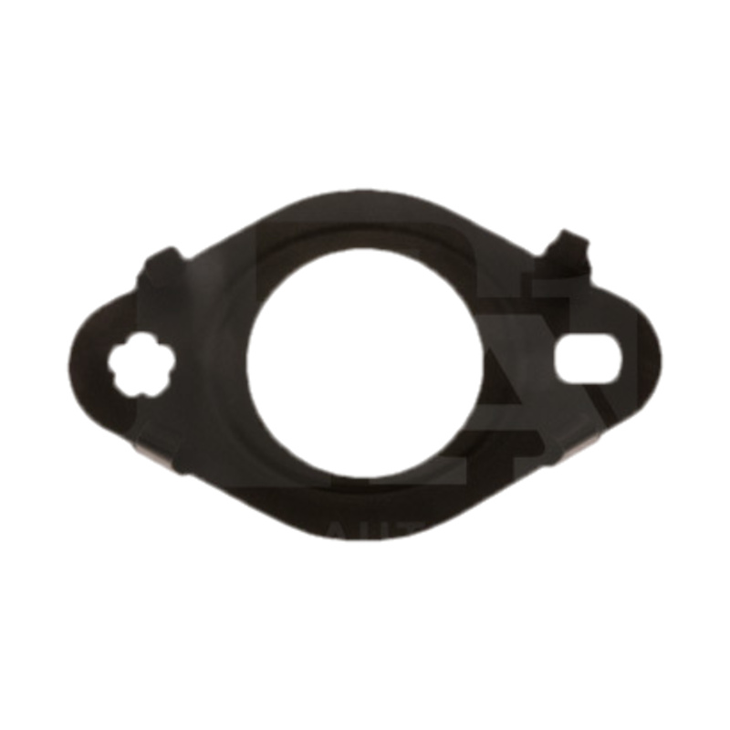 FA1 Tesnenie, AGR-Ventil EG4100-901