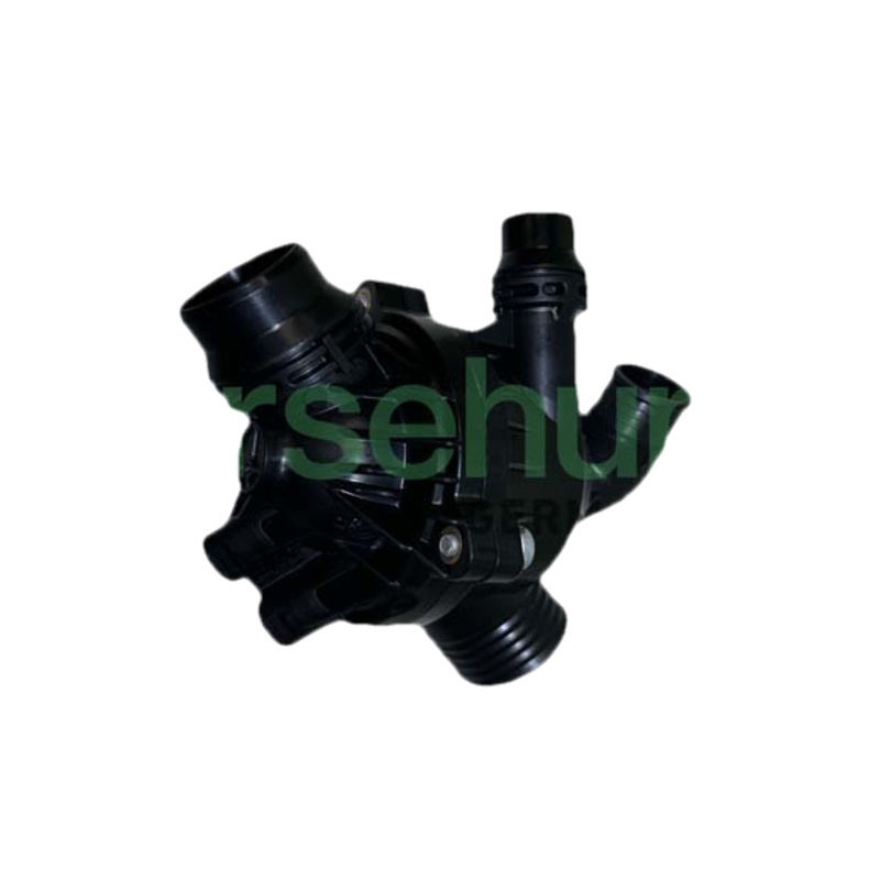 BORSEHUNG Termostat chladenia B10551