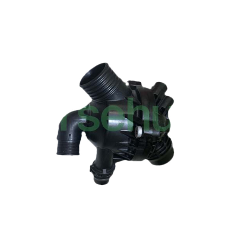 BORSEHUNG Termostat chladenia B10553