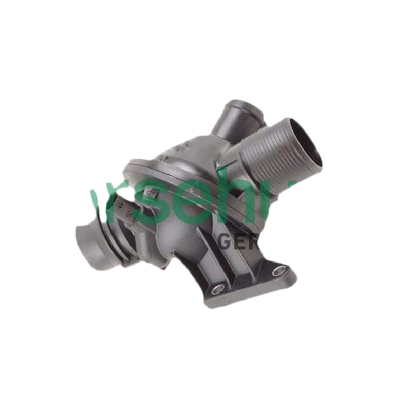 BORSEHUNG Termostat chladenia B10562