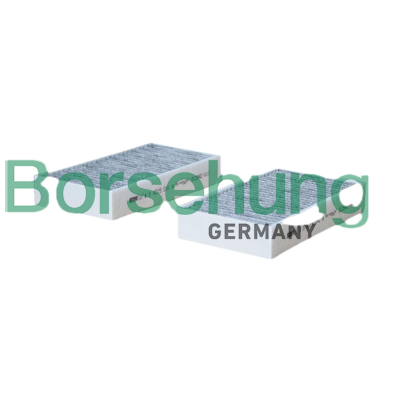 BORSEHUNG Filter vnútorného priestoru B12842
