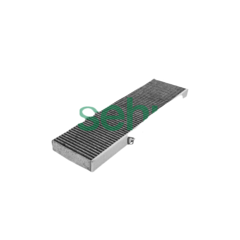 BORSEHUNG Filter vnútorného priestoru B12858