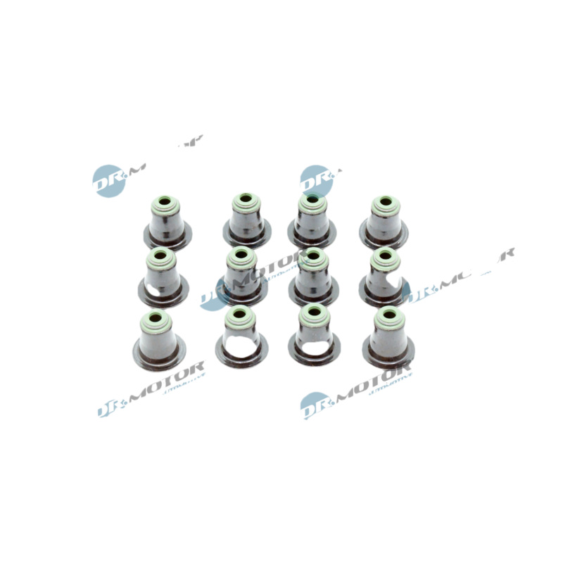 DR.MOTOR AUTOMOTIVE Sada tesnení drieku ventilu DRM02509S