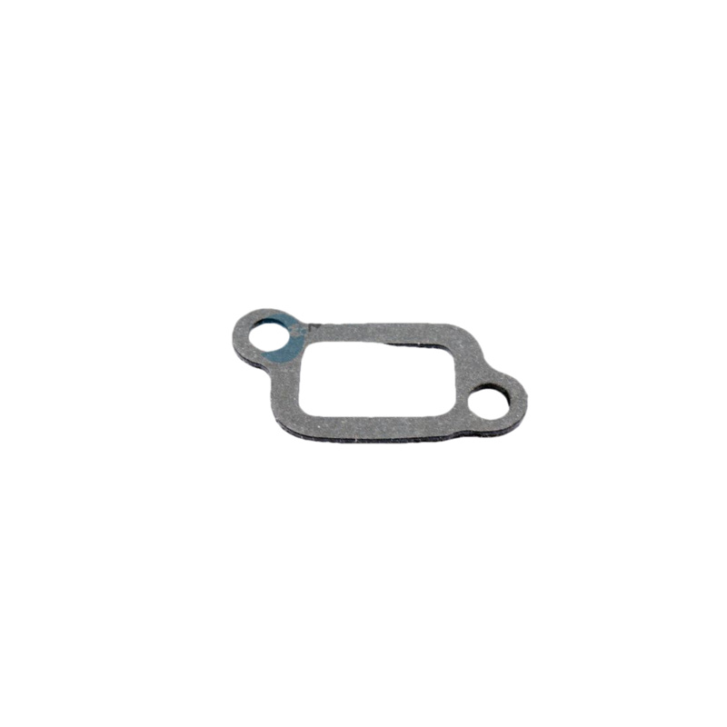 DR.MOTOR AUTOMOTIVE Tesnenie obalu termostatu DRM02565
