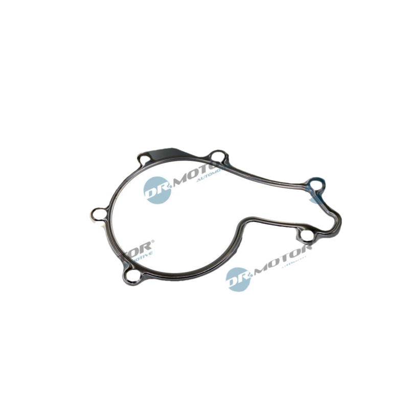 DR.MOTOR AUTOMOTIVE Tesnenie vodného čerpadla DRM02646