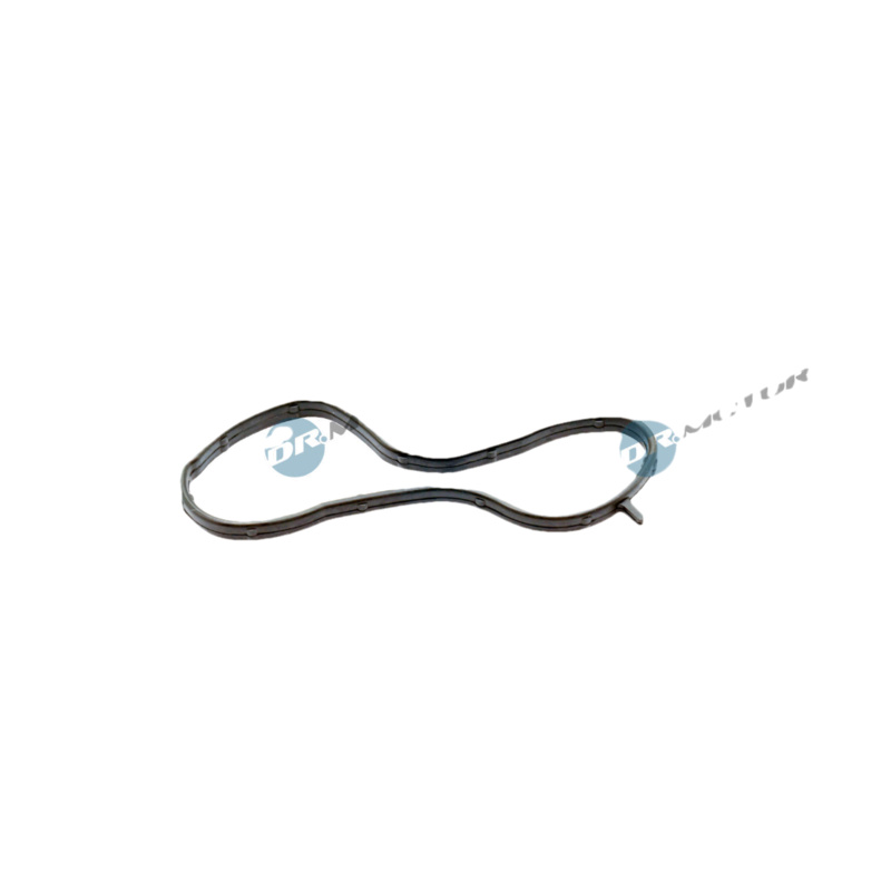 DR.MOTOR AUTOMOTIVE Tesnenie príruby chladenia DRM02796