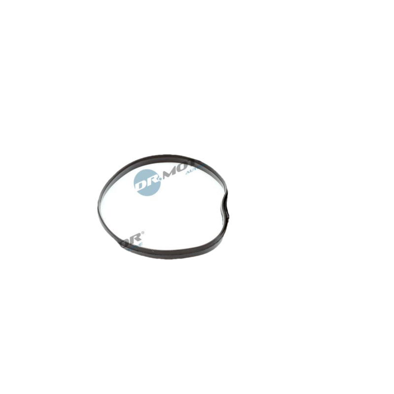 DR.MOTOR AUTOMOTIVE Tesnenie obalu olejového filtra DRM02862