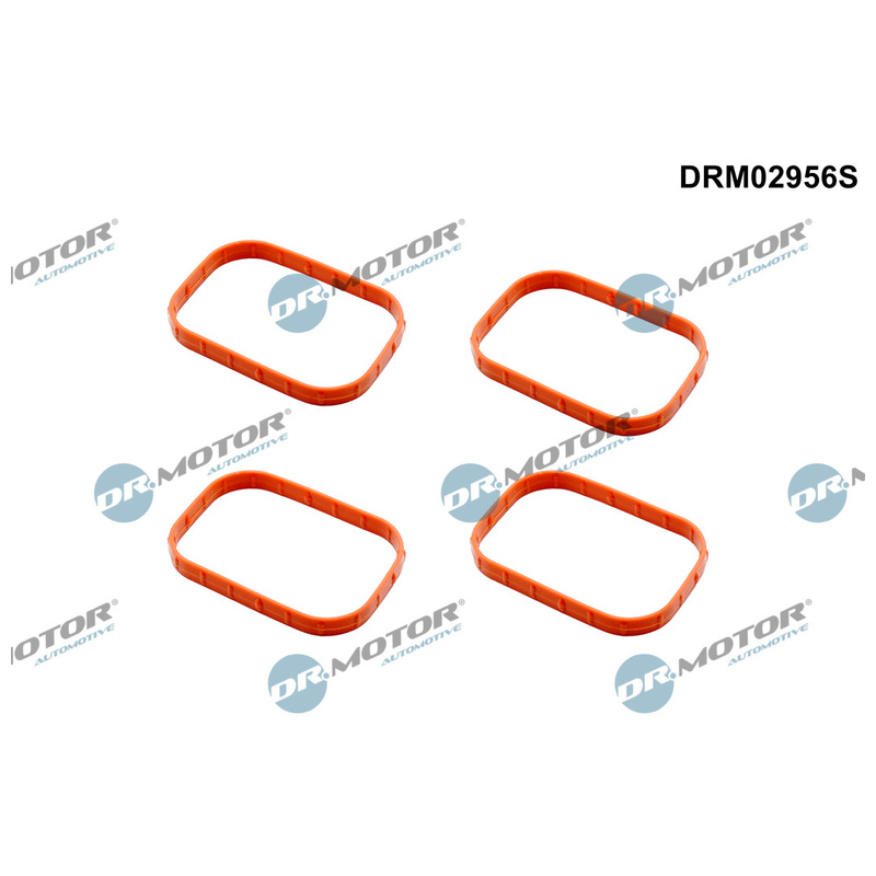 DR.MOTOR AUTOMOTIVE Sada tesnení kolena nasávacieho potrubia DRM02956S