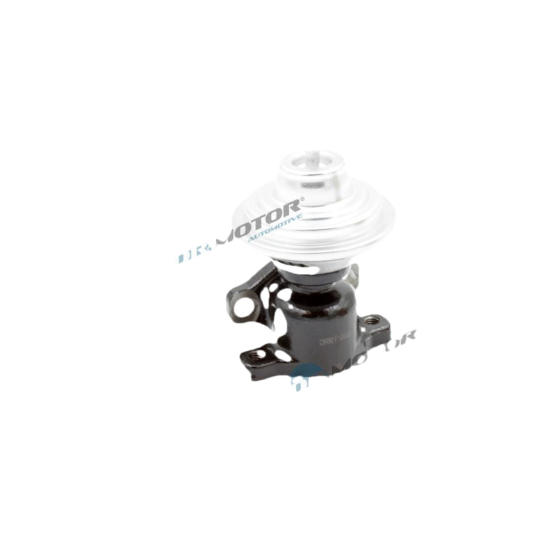 DR.MOTOR AUTOMOTIVE AGR - Ventil DRM211161
