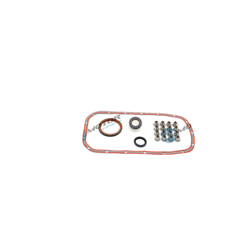 DR.MOTOR AUTOMOTIVE Kompletná sada tesnení motora DRM310200S