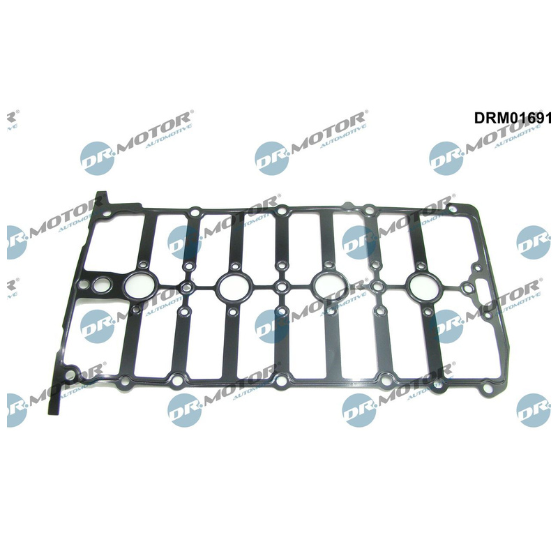 DR.MOTOR AUTOMOTIVE Tesnenie veka hlavy valcov DRM01691
