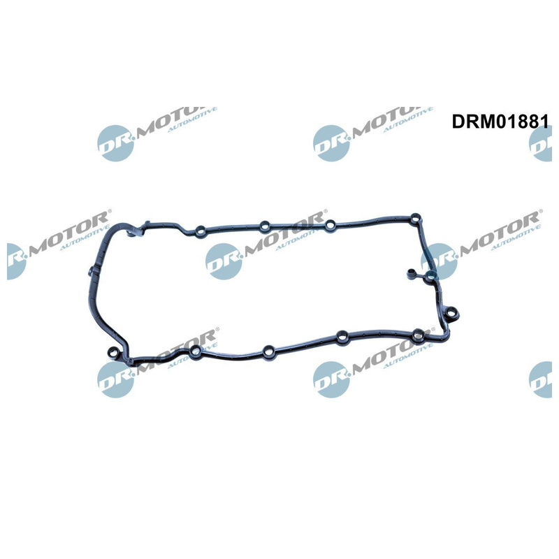 DR.MOTOR AUTOMOTIVE Tesnenie veka hlavy valcov DRM01881