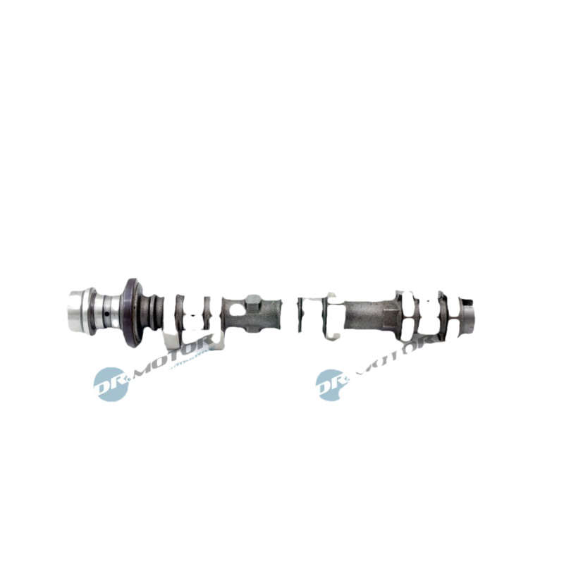 DR.MOTOR AUTOMOTIVE Vačkový hriadeľ DRM01924