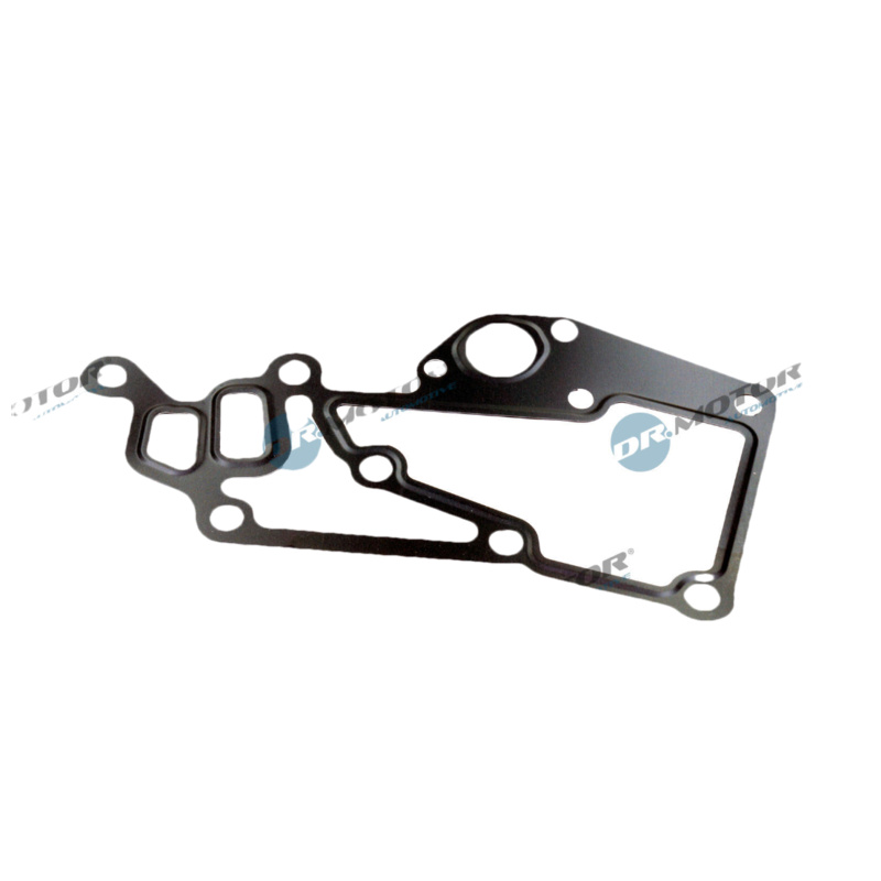 DR.MOTOR AUTOMOTIVE Tesnenie obalu termostatu DRM02813