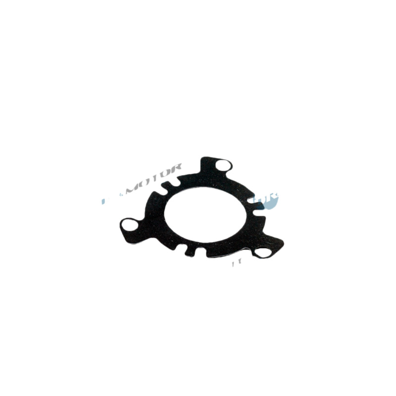 DR.MOTOR AUTOMOTIVE Tesnenie vstrekovacieho čerpadla DRM03079