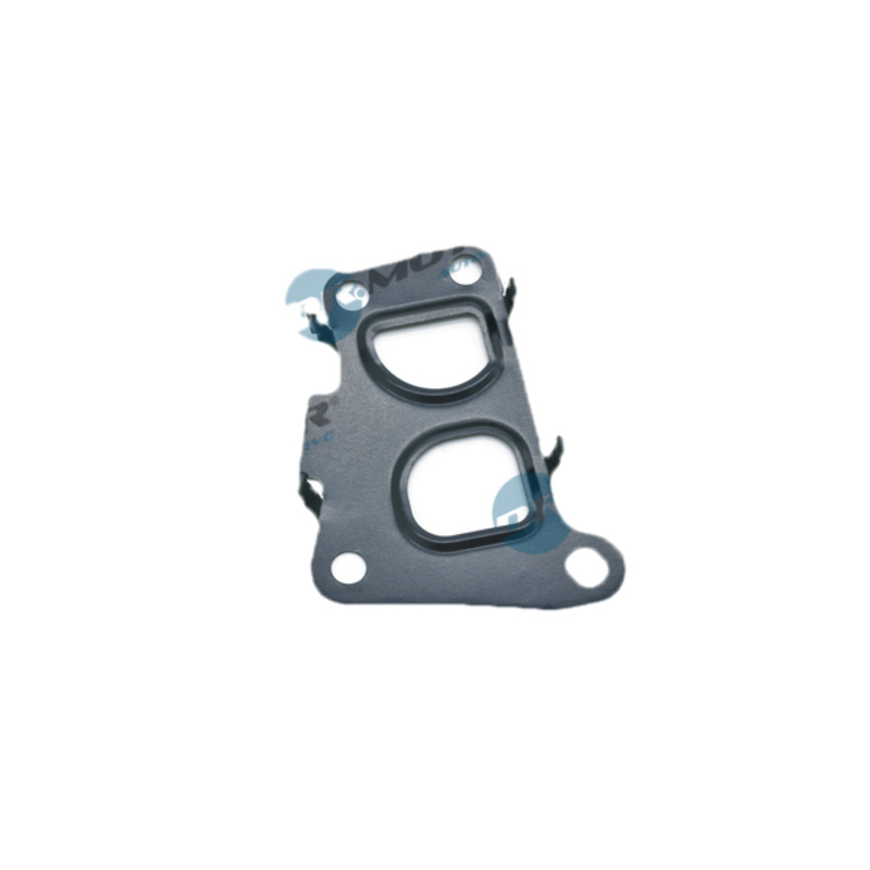 DR.MOTOR AUTOMOTIVE Tesnenie, AGR-Ventil DRM0905