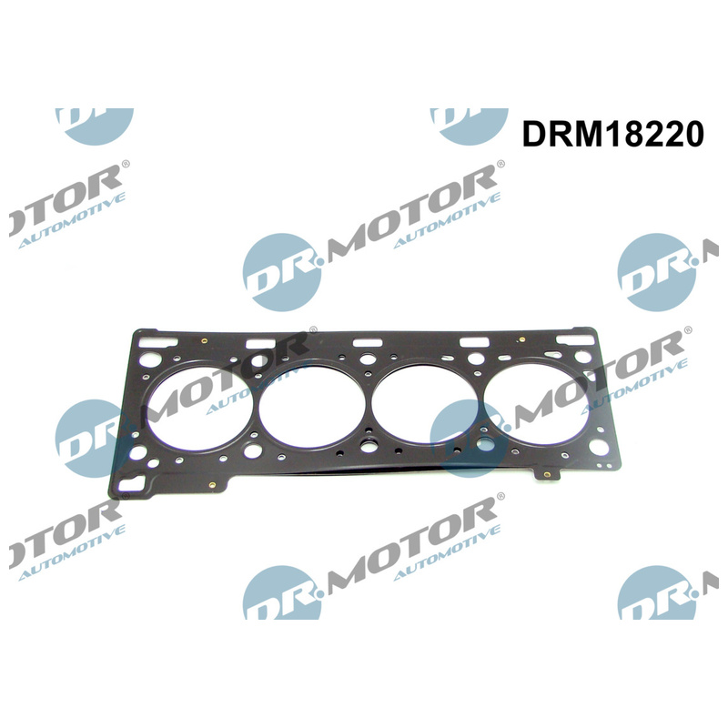 DR.MOTOR AUTOMOTIVE Tesnenie hlavy valcov DRM18220