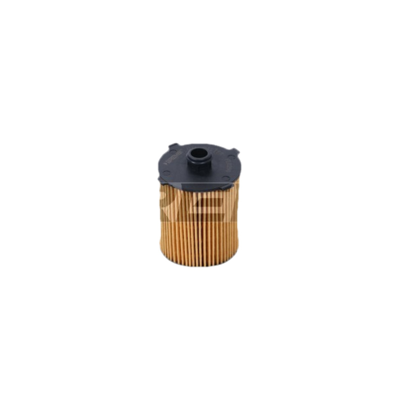 BRMS Olejový filter FL0290