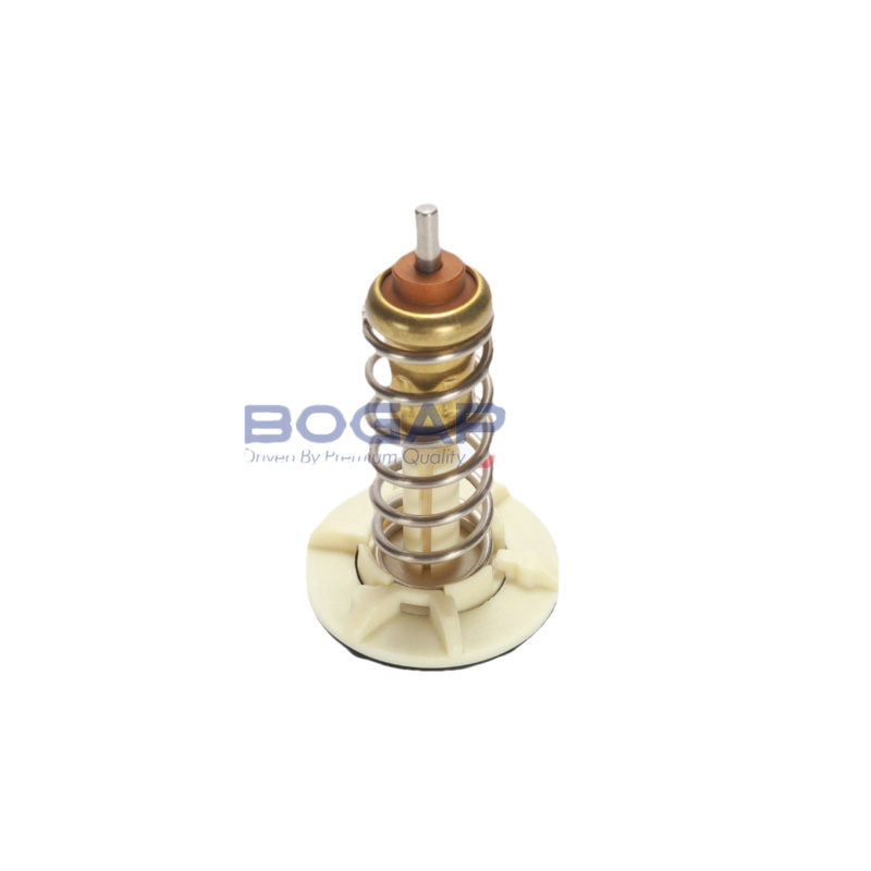 BGP Termostat chladenia A4245161