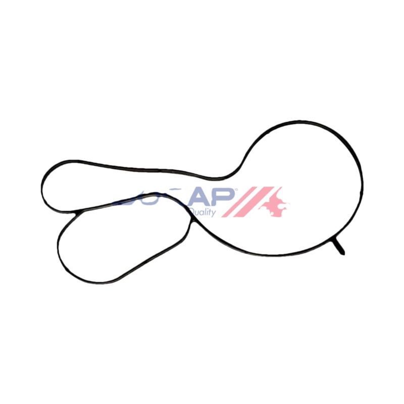 BGP Tesnenie termostatu A4248102