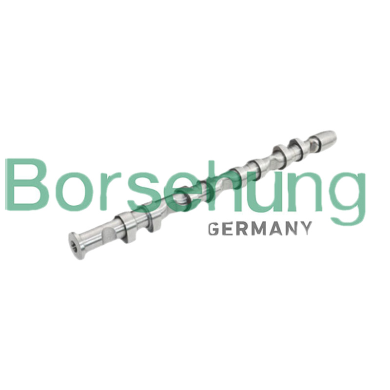BORSEHUNG Vačkový hriadeľ B13032