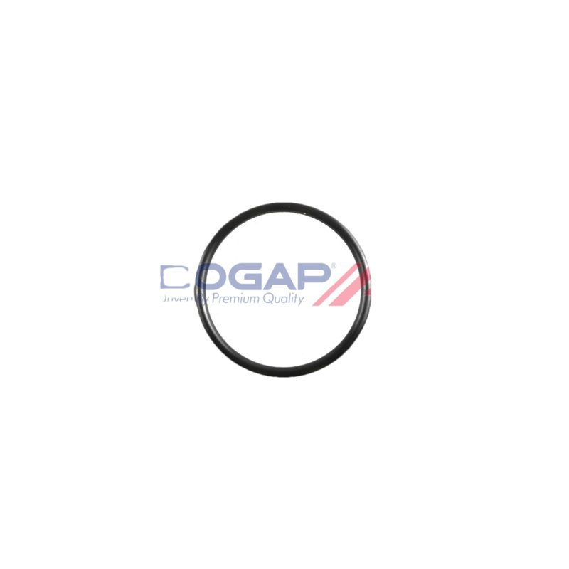 BGP Tesnenie termostatu C4248100