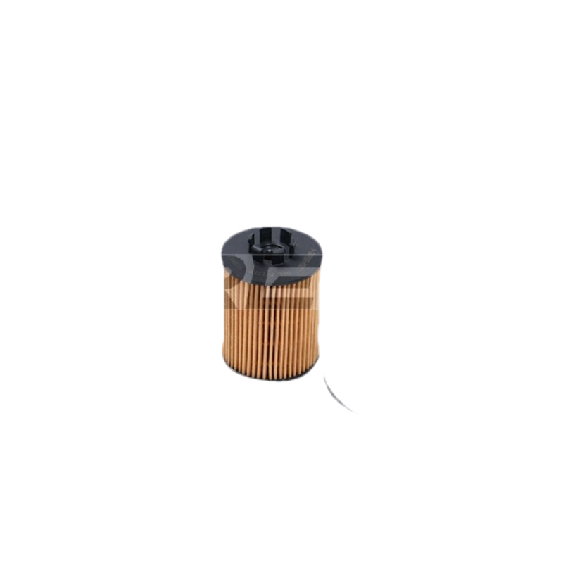 BRMS Olejový filter FL0011