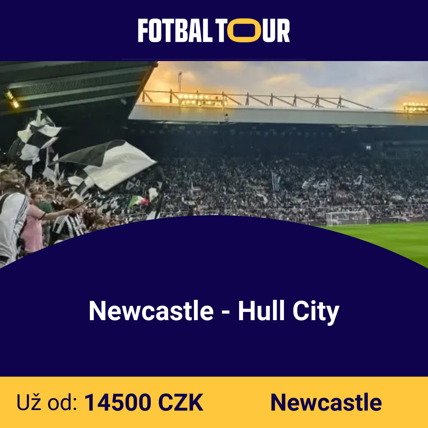 Newcastle - Hull City