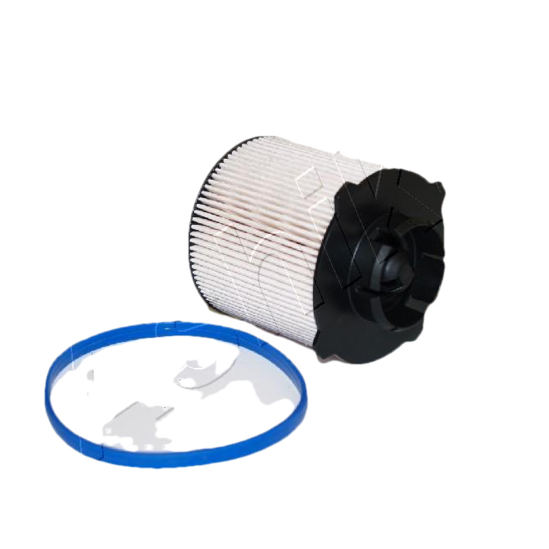ASHIKA Palivový filter 30ECO020