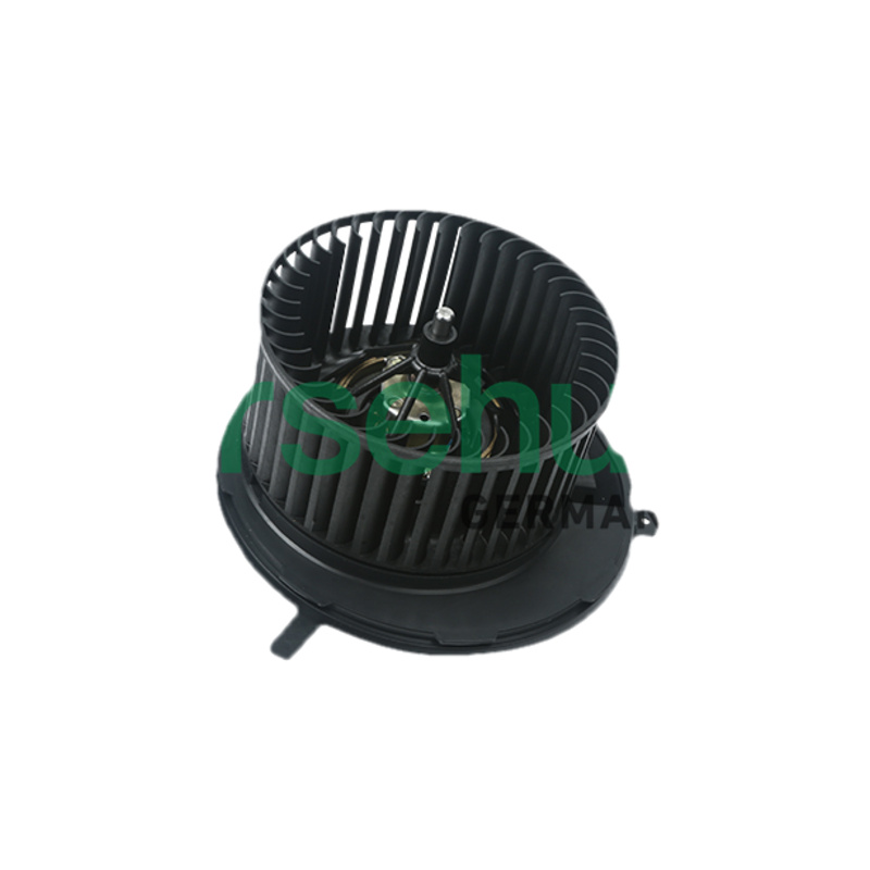 BORSEHUNG Vnútorný ventilátor B14597